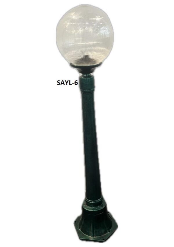 SAYL-6
