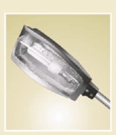 ESF1
