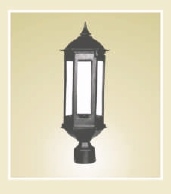 DP06